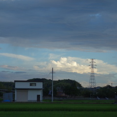 DSC00317