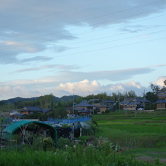 DSC00318