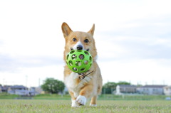 RUN♪RUN♪RUN♪