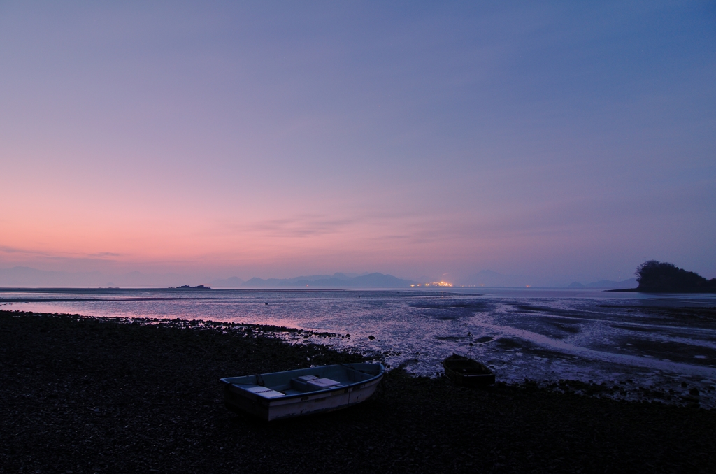 染まるハチ干潟
