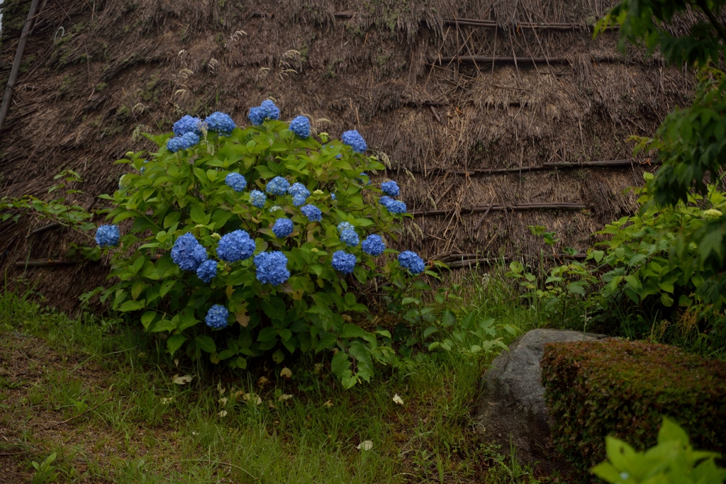 野呂山で