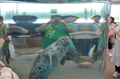 京都水族館