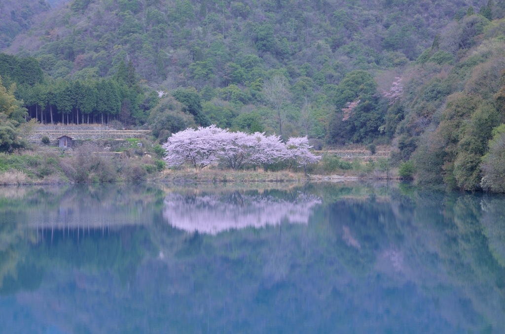 安芸津・昭和池