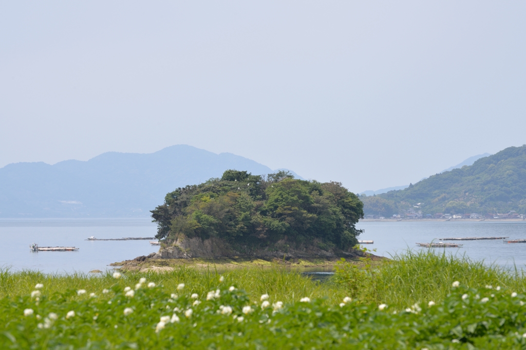 三津湾にて