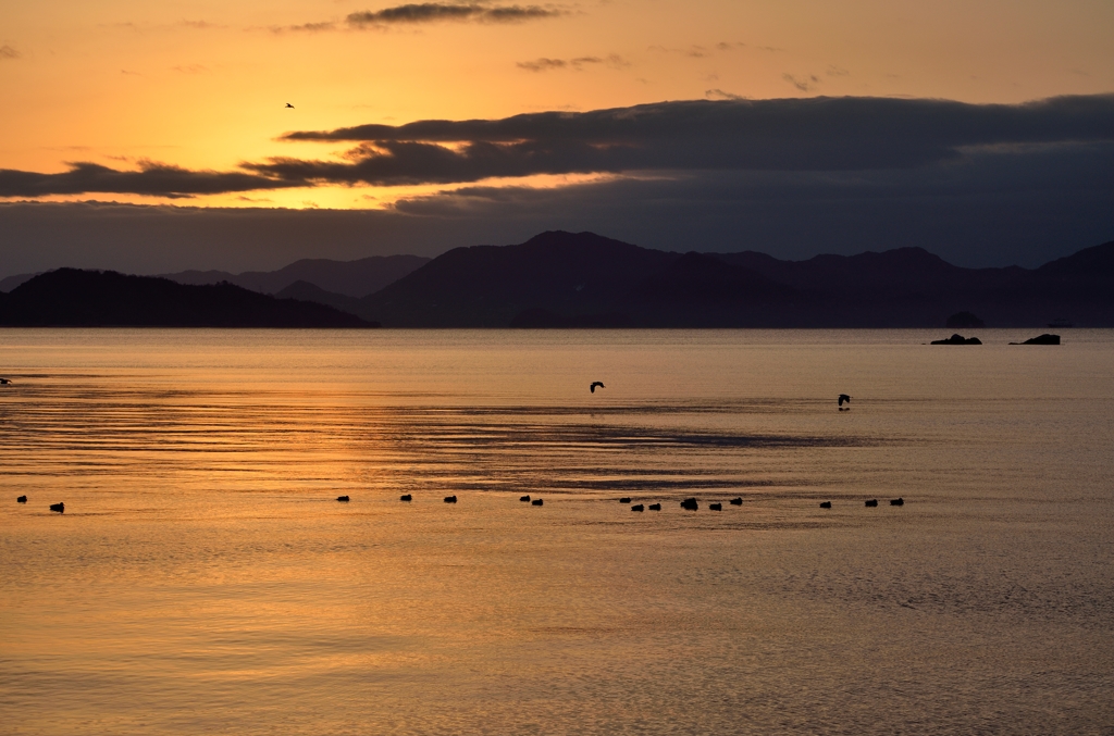 黄金色を飛ぶ２