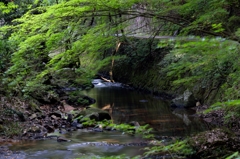 佛通寺川