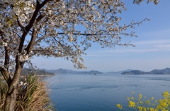 桜に、菜の花に、海・・・気持ちいい！