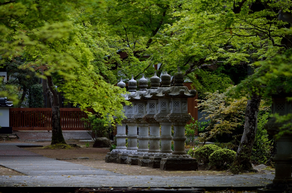 新緑の仏通寺