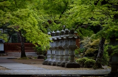 新緑の仏通寺