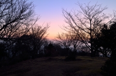 朝日山より東方向