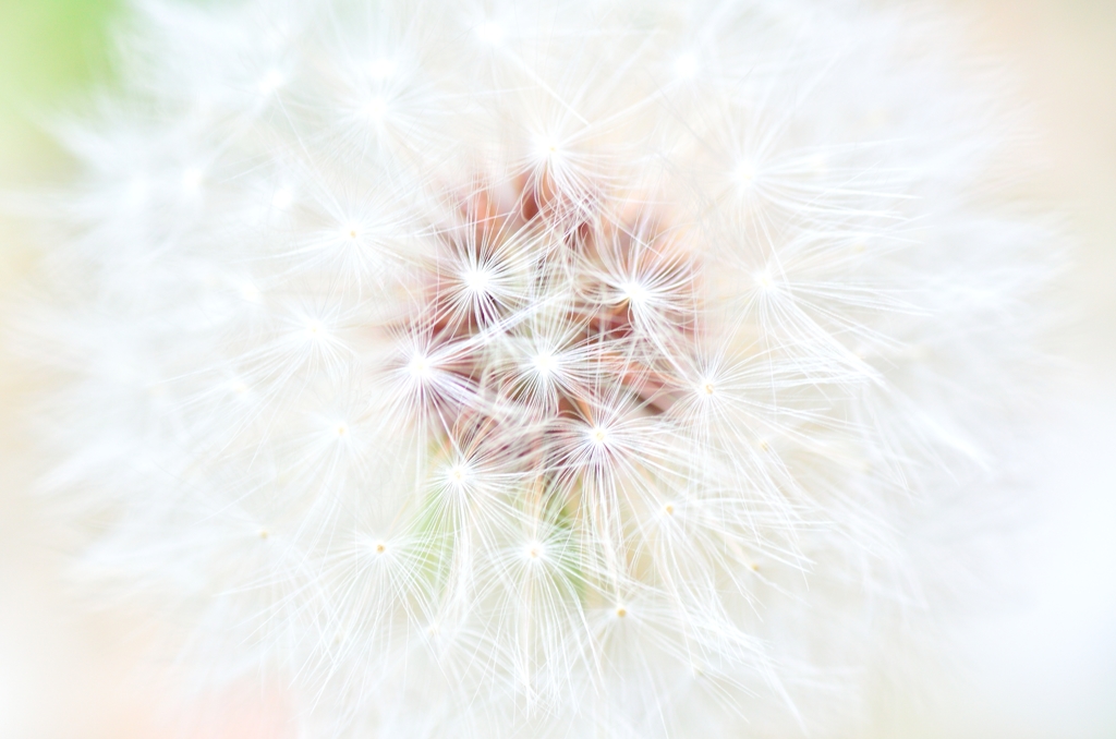 花火