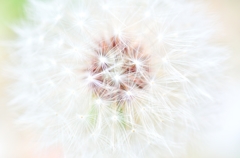 花火