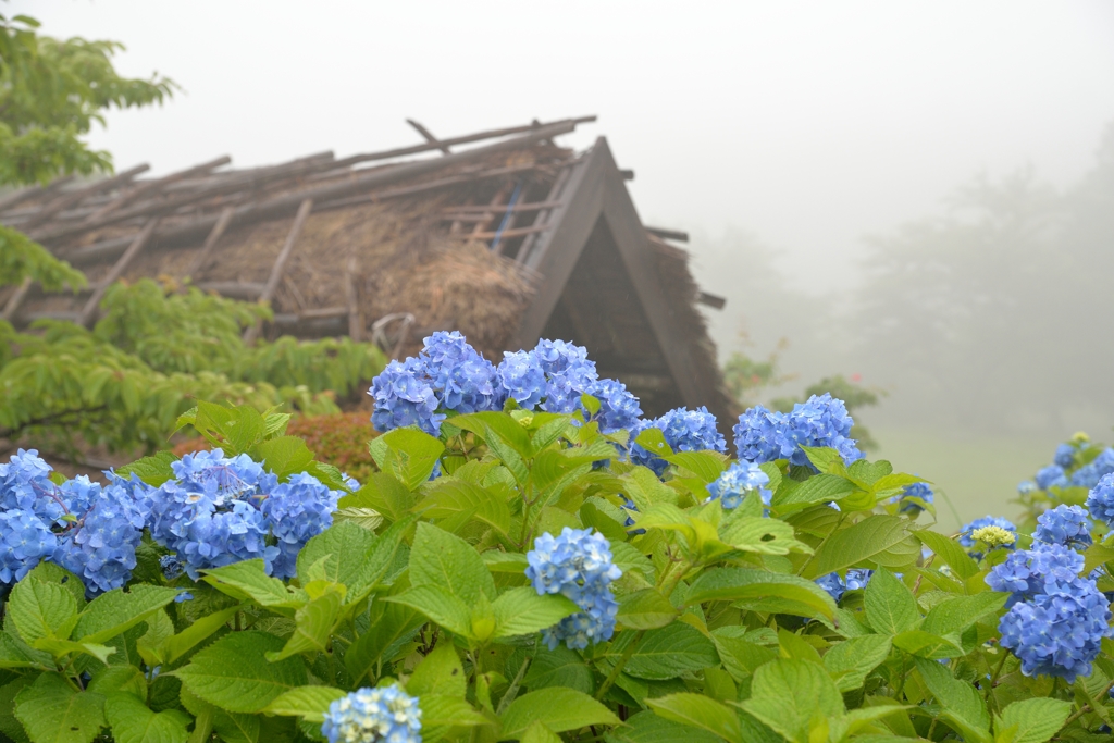 野呂山で３