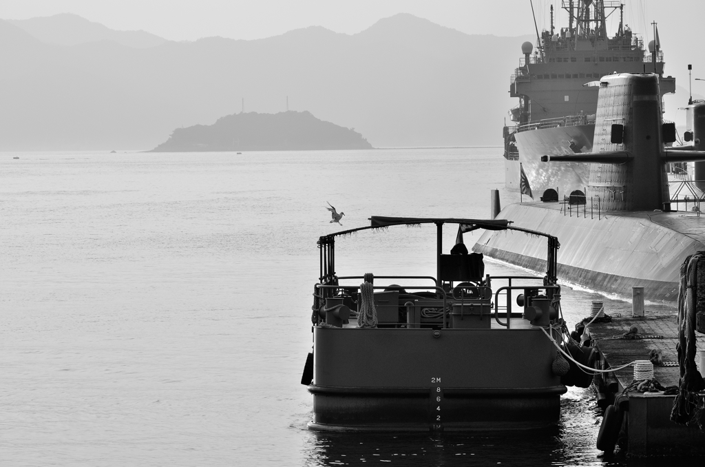 アレイからすこじま