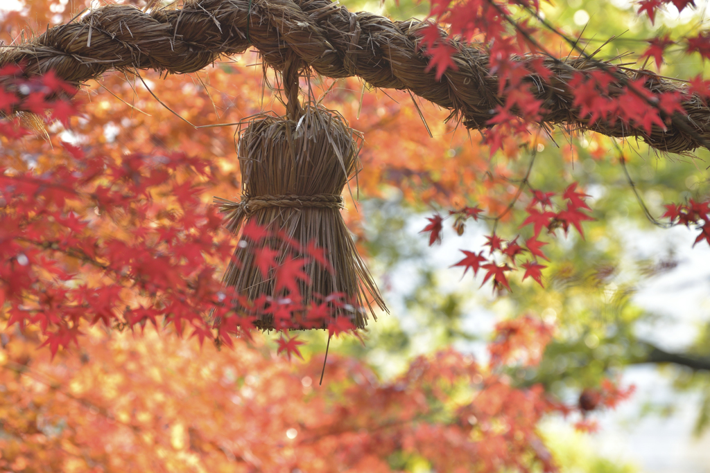 榊山八幡神社で　3