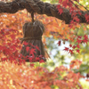 榊山八幡神社で　3