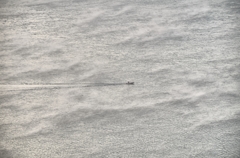 ちっちゃいですけど・・・