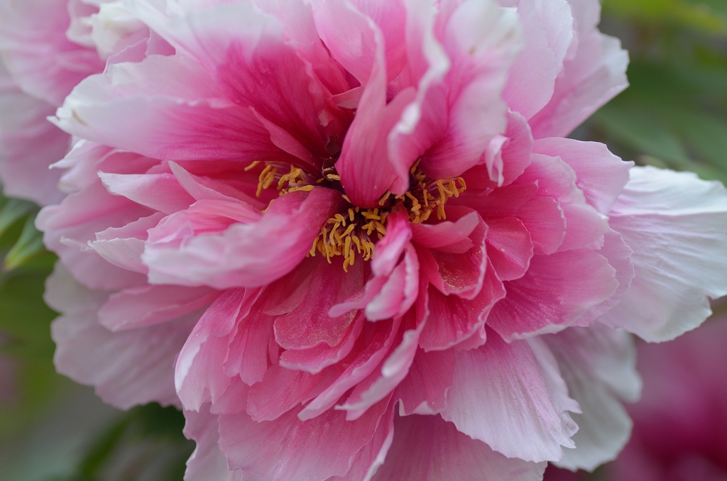 何枚あるんだろう