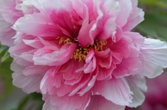 何枚あるんだろう