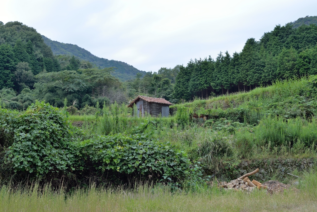 作業小屋