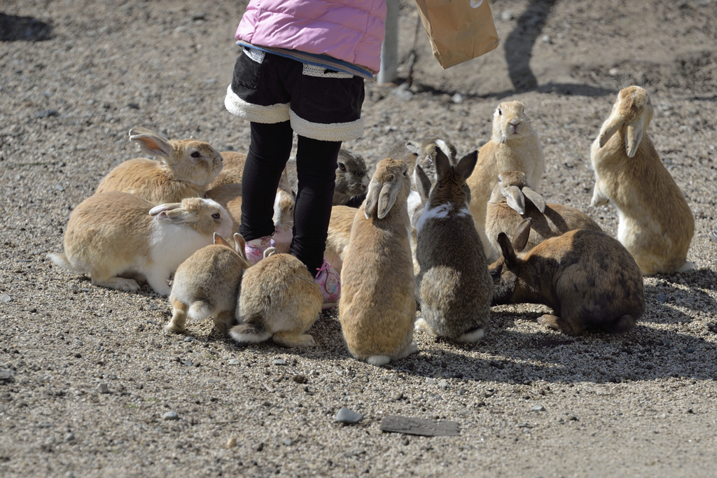 ちょうだい！