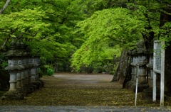 新緑の佛通寺２