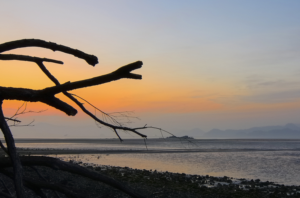 夜明け前のハチ干潟
