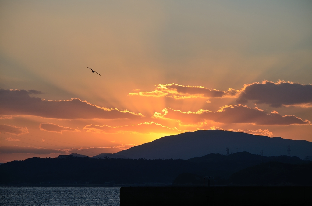 夕日とかもめ