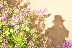 FLOWER&ME.