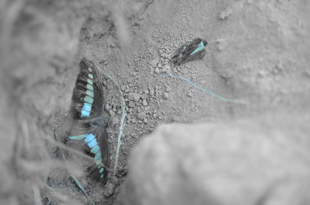 decay