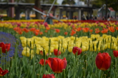 木曽三川公園 4