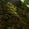岩村城