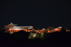 首里城 夜