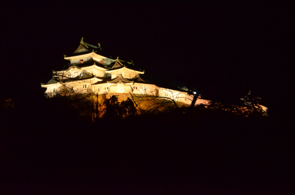 和歌山城