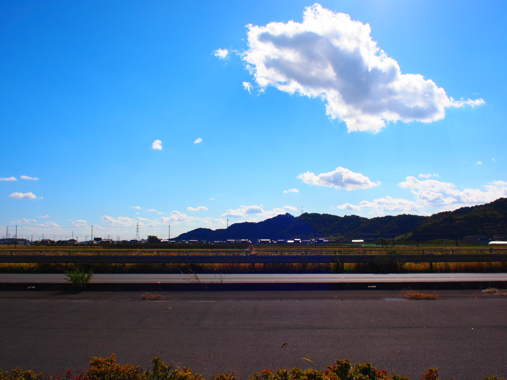 田舎道。
