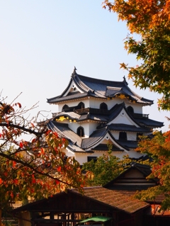 彦根城