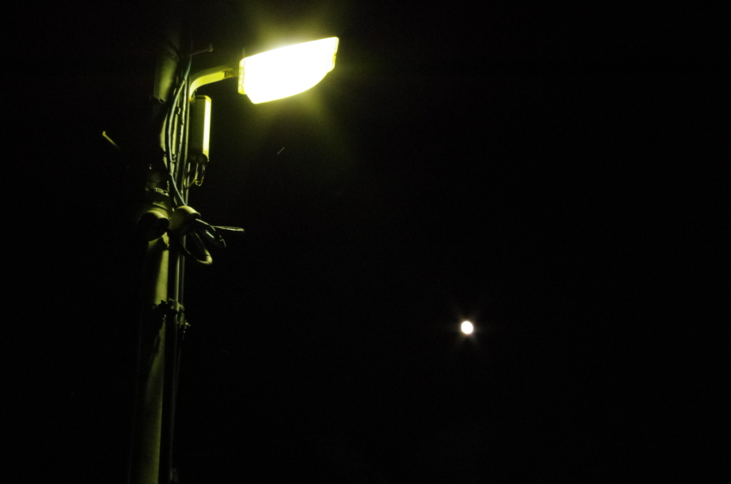 月と街灯