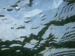 海の中から見上げる空