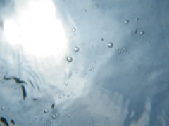 海の中から見上げる空
