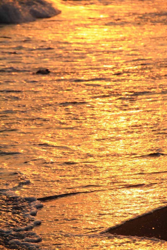 由比ヶ浜夕暮れ