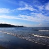 朝の海散歩