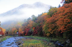 箒川の秋