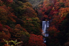 山奥の秋