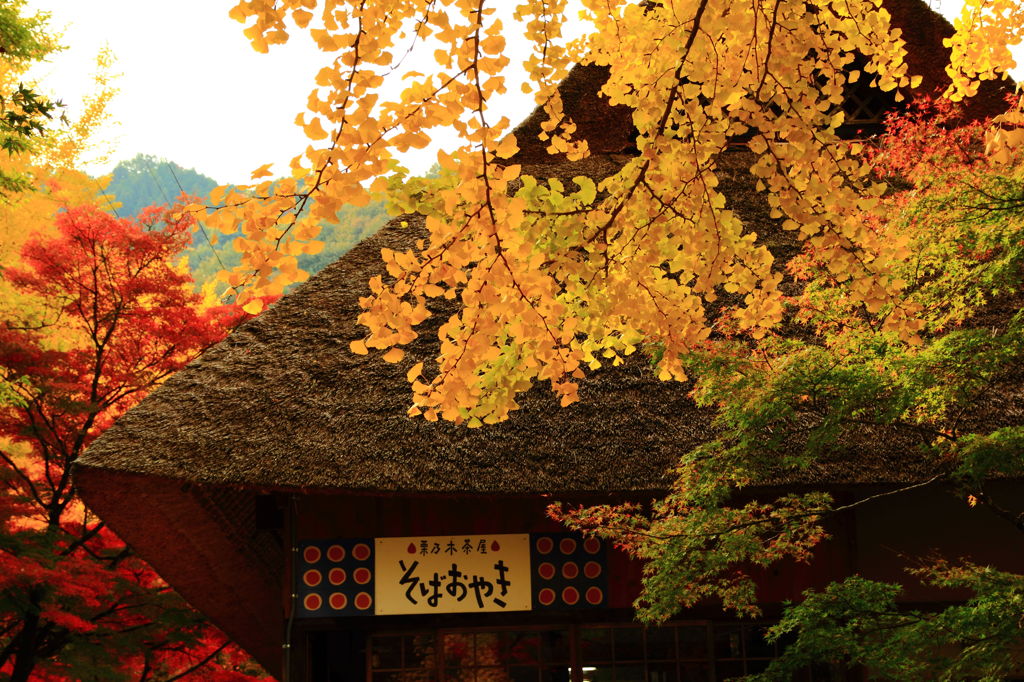 おやき屋と紅葉