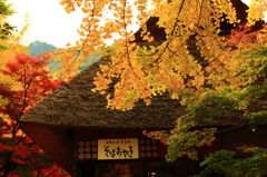 おやき屋と紅葉