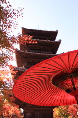 和傘と五重の塔