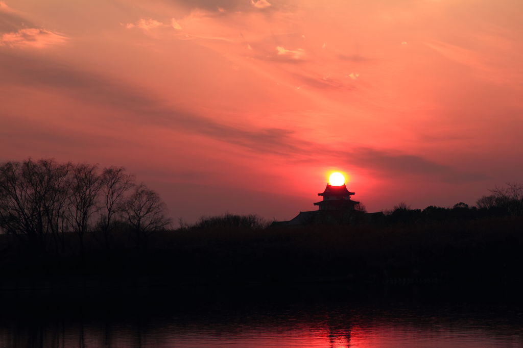 夕日