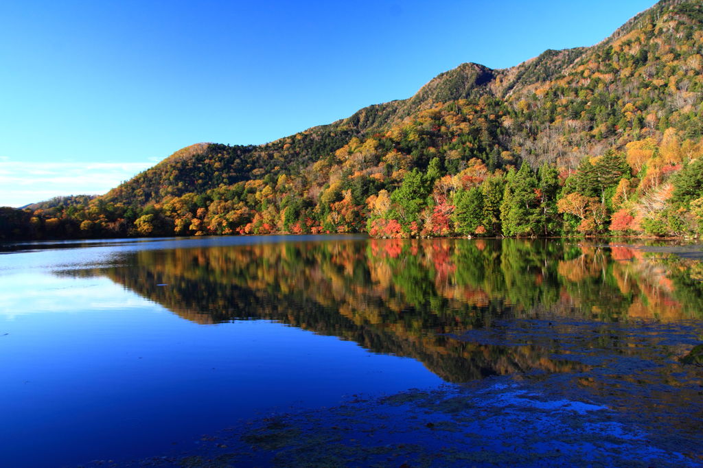 湯の湖　紅葉２