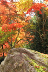 岩屋堂の紅葉