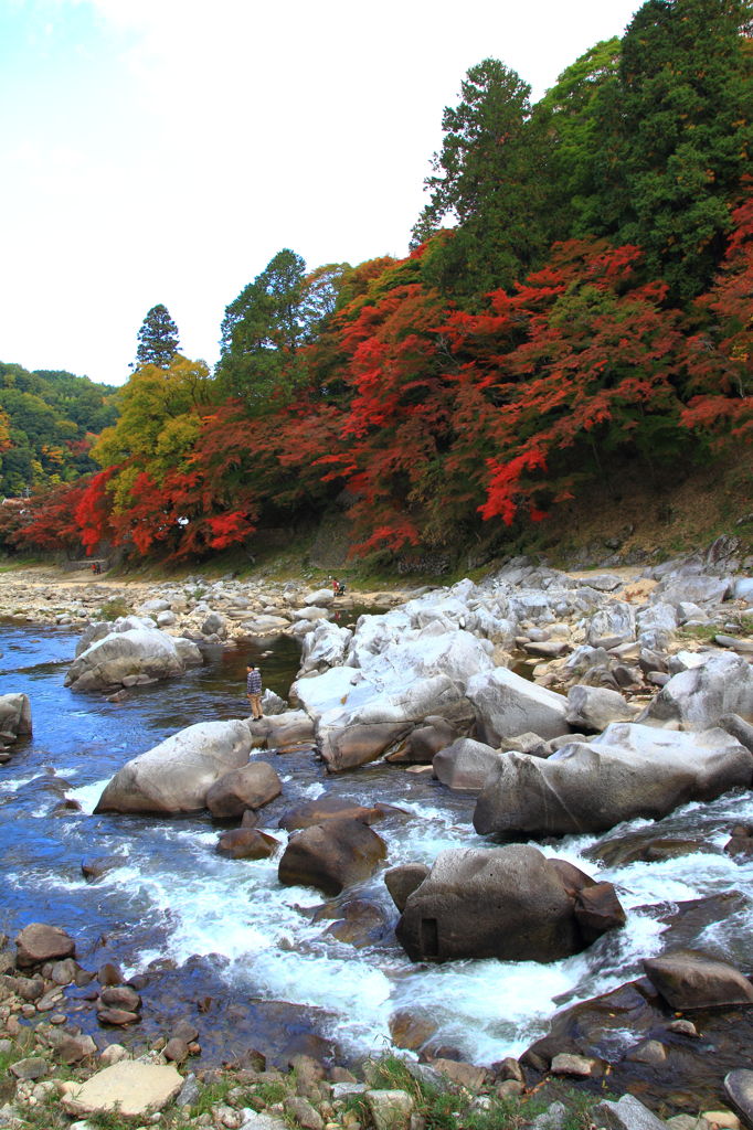 巴川の秋